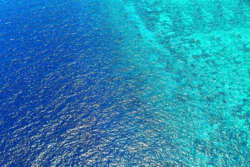 bird s eye view of sea water
